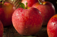 苹果减肥法，是正确的节食减肥方法吗?